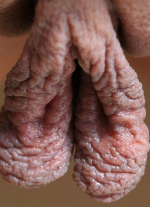 Девки с большой пиздой | Огромные половые губы киски картинка 48